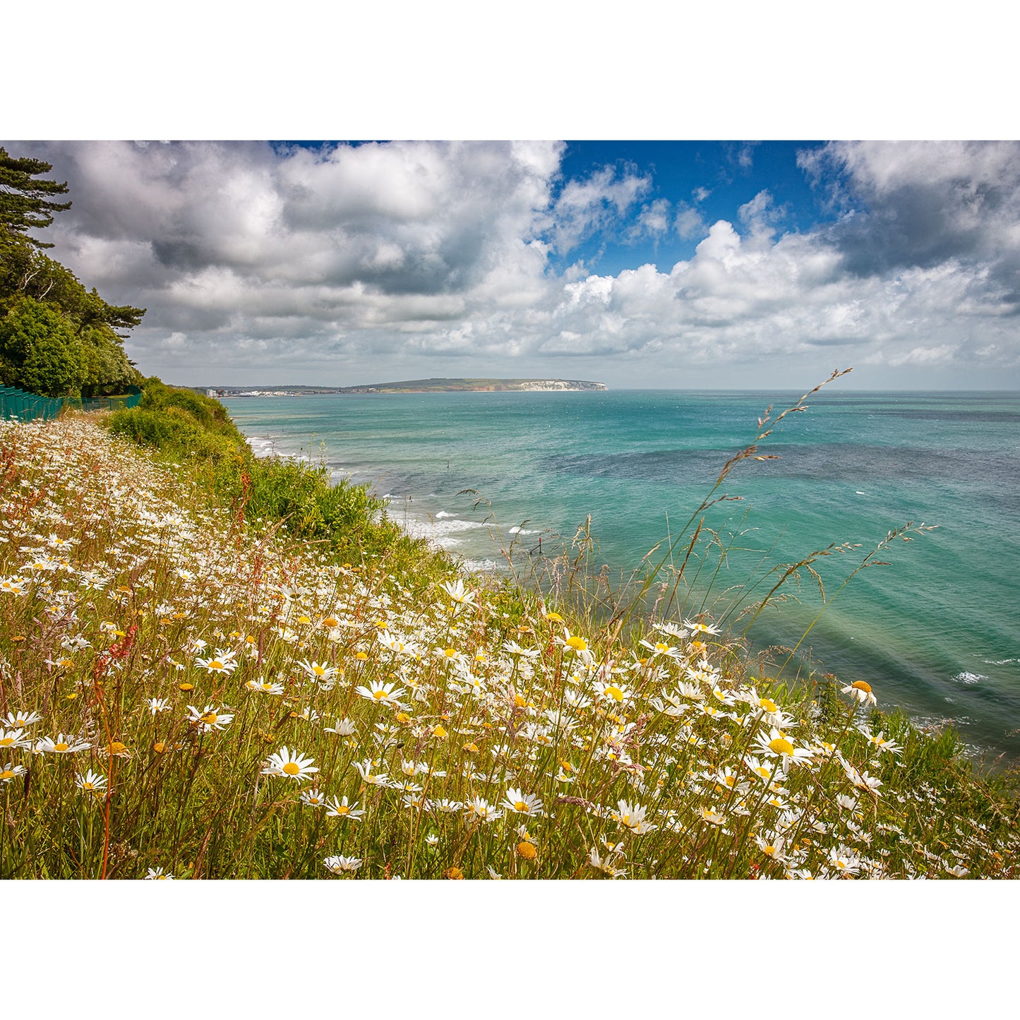Sandown Bay