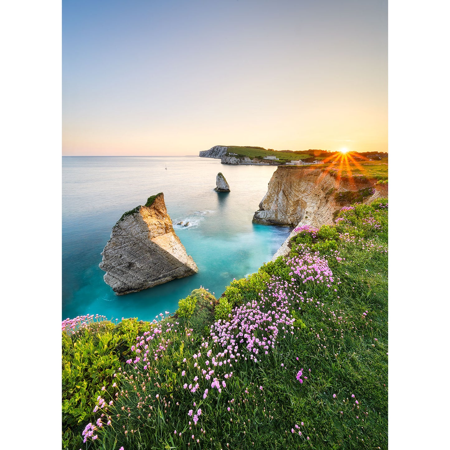 Sunset at a coastal cliff on the Isle of Wight with Pink Thrift in bloom, by Available Light Photography.