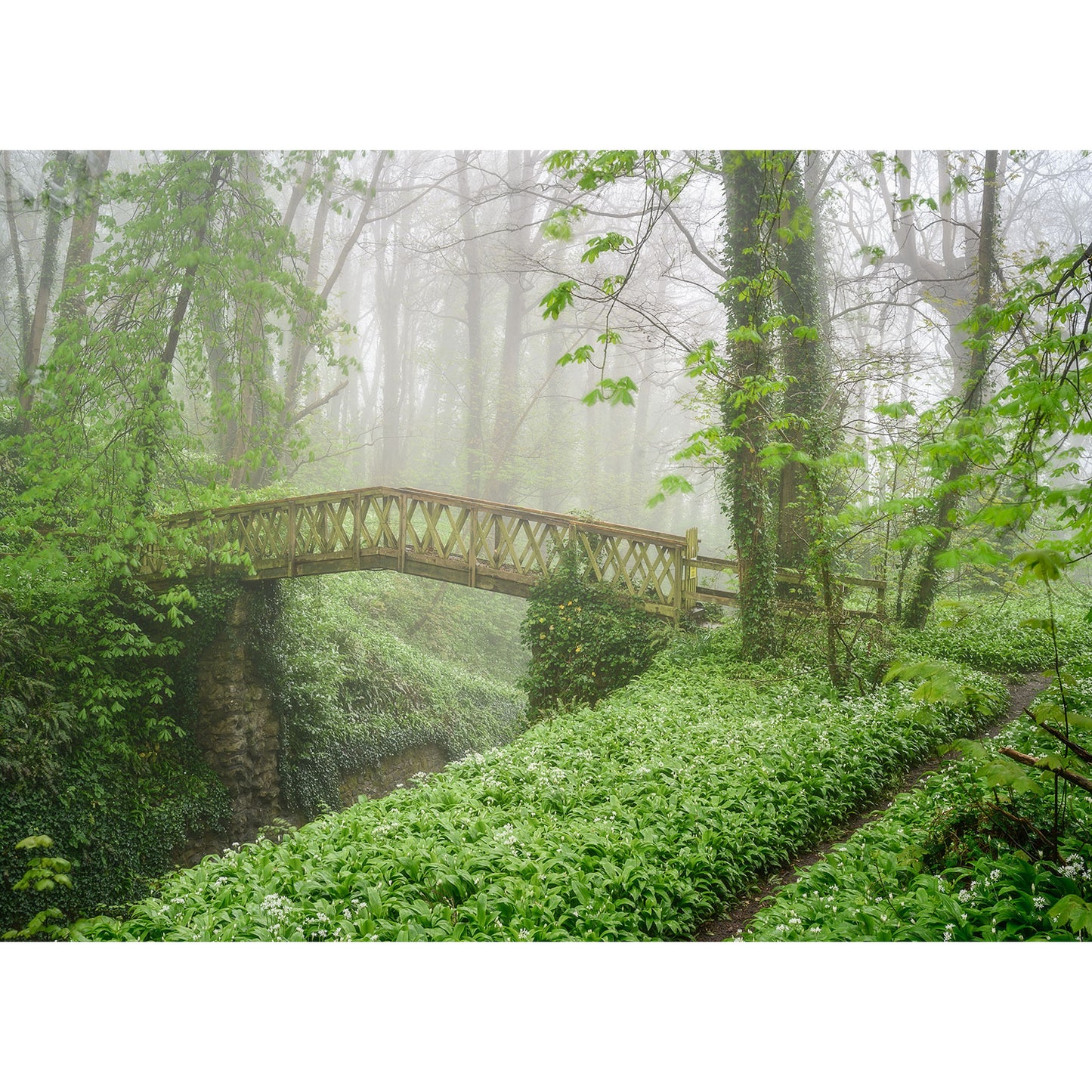 “Shorwell” by Available Light Photography features a rustic wooden footbridge crossing a creek in a misty, green forest, capturing an enchanting and serene nature scene ideal for photography lovers.
