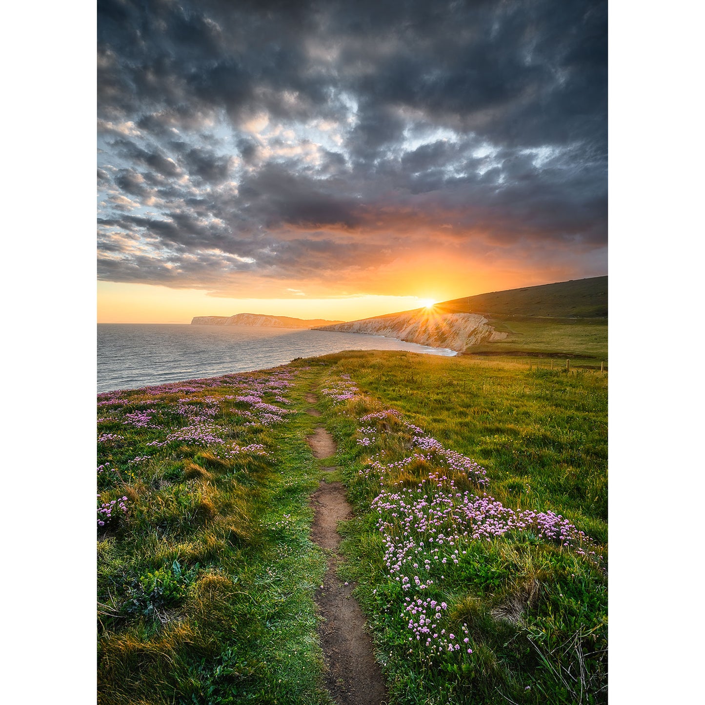 A narrow path winds through a field of Pink Thrift towards the white cliffs of Compton, Isle of Wight at sunset, under dramatic clouds. Photo by Available Light Photography.