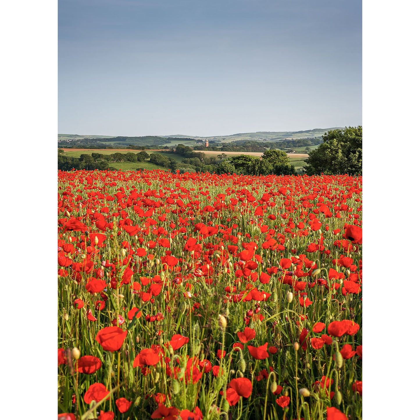 Looking towards Whitecroft