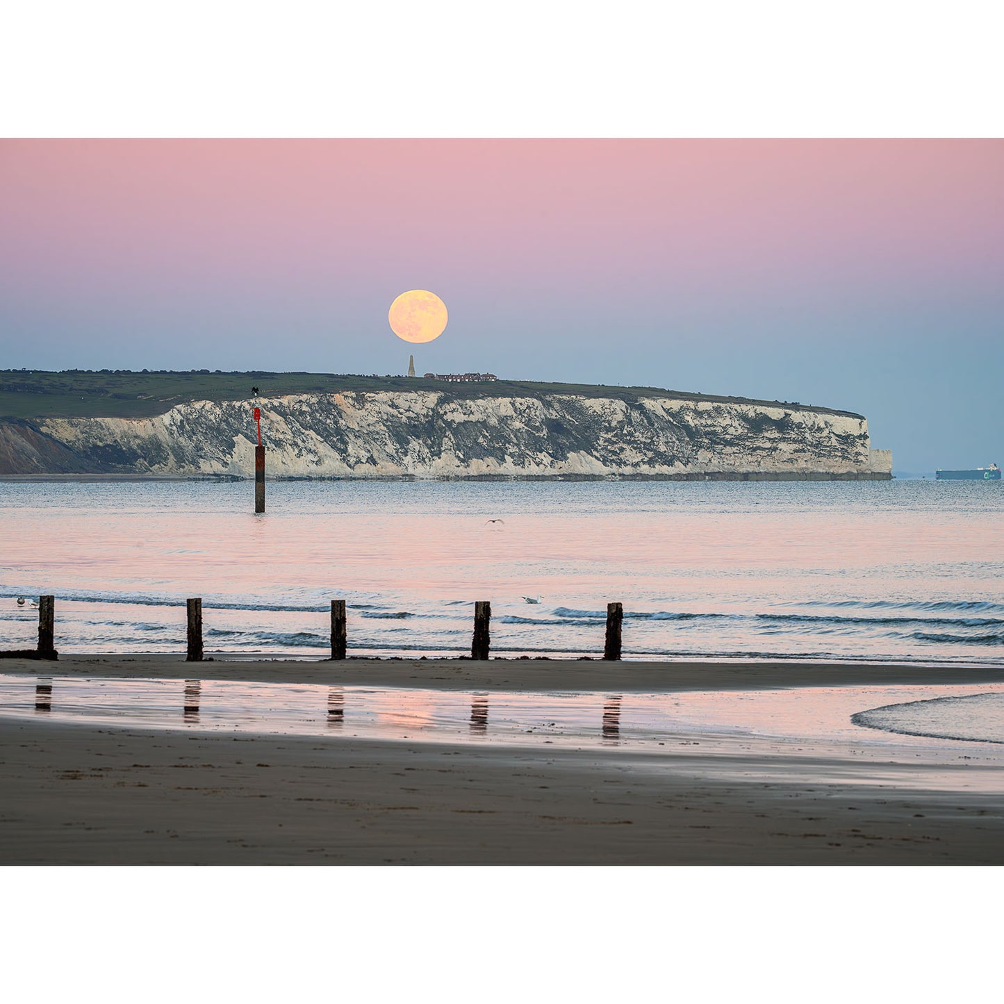 Experience "Wolf Moon over Culver Cliff" by Available Light Photography—a full moon above cliffs and calm sea at sunset with sandy beach and wooden groynes. See how image 3134 was created in our behind-the-scenes YouTube video.