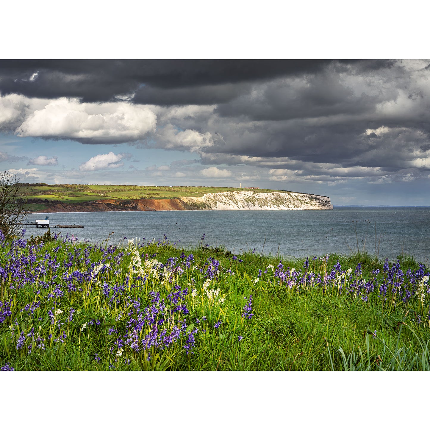 A coastal scene titled "Bluebells, Culver Cliff" by Available Light Photography features wildflowers in the foreground, calm sea, and white cliffs beneath a cloudy sky.