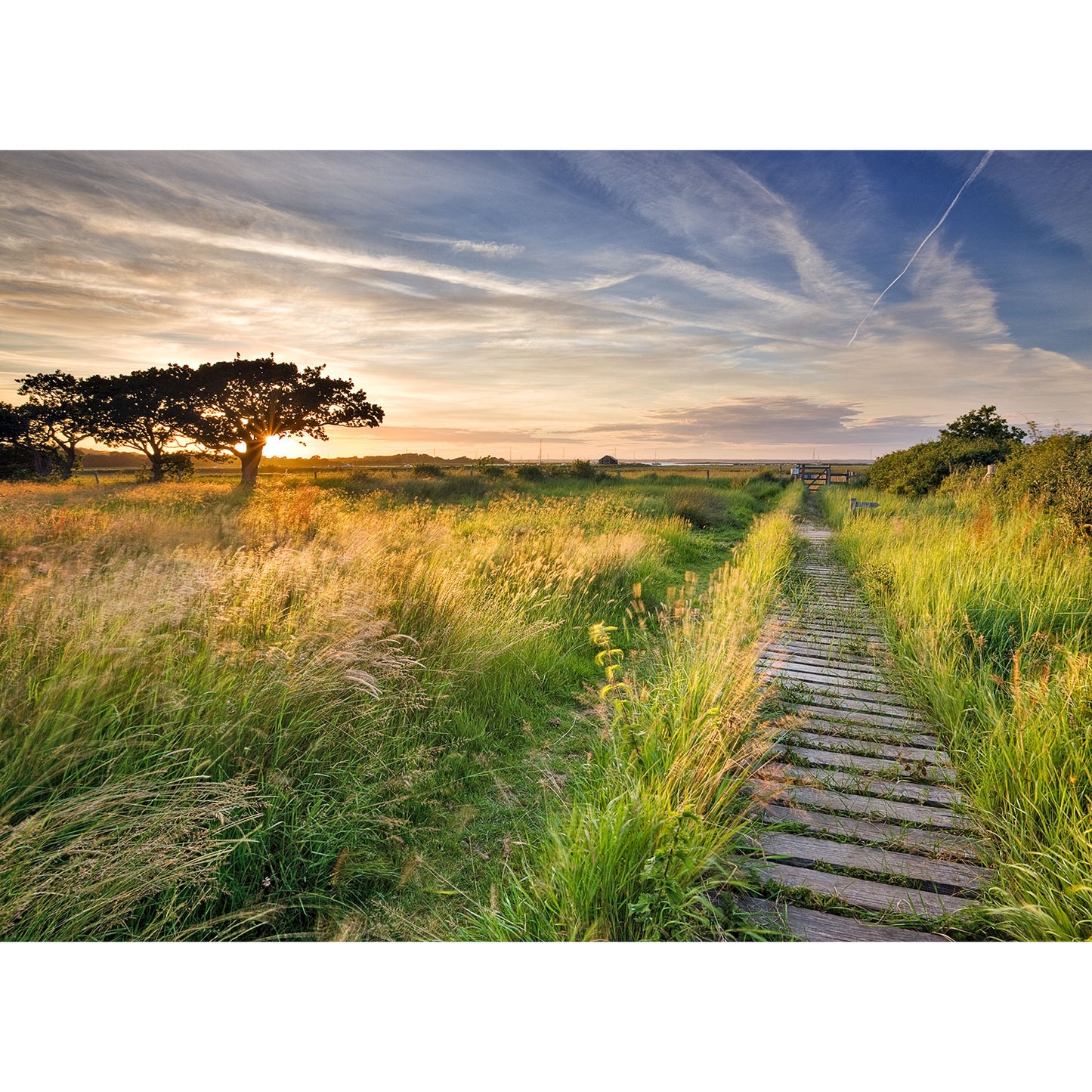 Newtown Creek - Available Light Photography