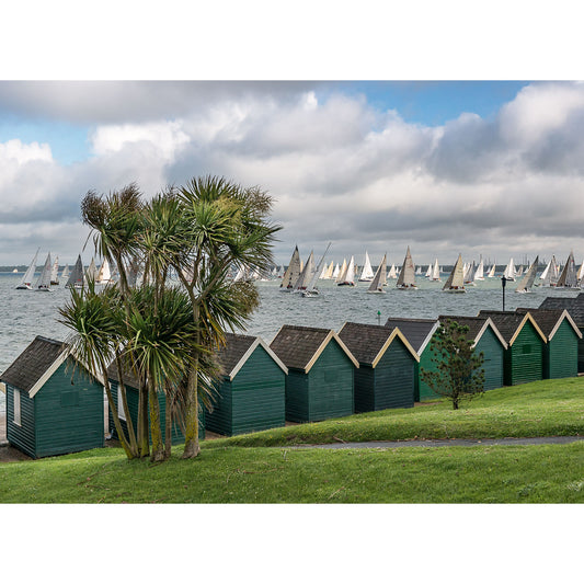 Sailboats racing on the water behind a row of green beach huts, with a palm tree in the foreground, photographed by Available Light Photography for the Round the Island Race in Gurnard.