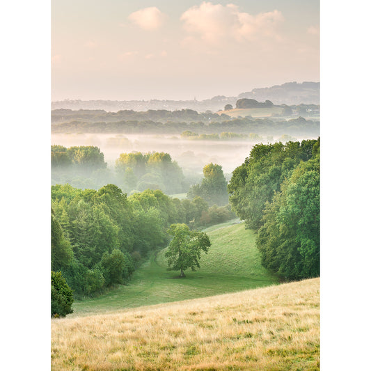 Morning mist blankets a serene landscape on the Isle of Wight, with rolling hills and lush greenery captured beautifully by Available Light Photography's Knighton Shute.