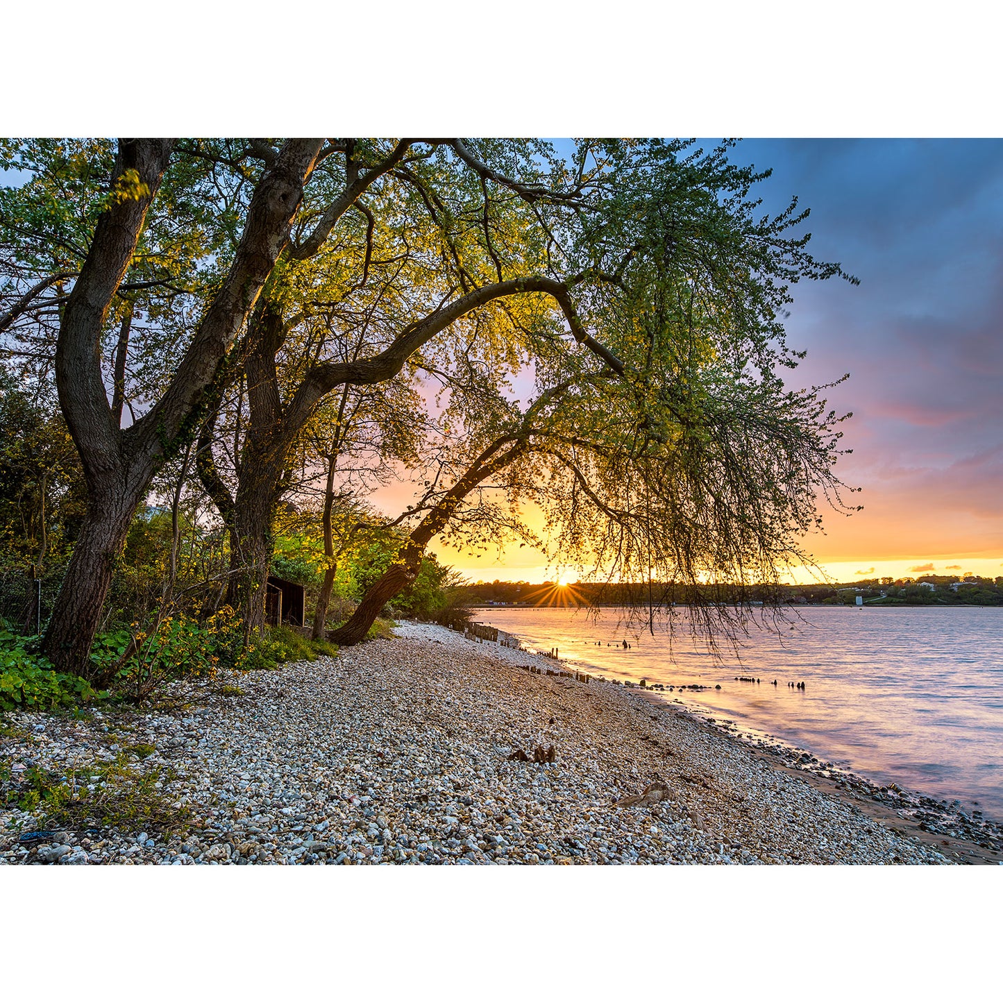 Sunset over Bembridge Beach on the Isle of Wight with trees leaning towards the water, captured by Available Light Photography.
