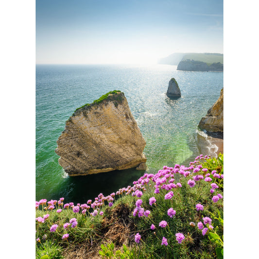 Cliffside view of the ocean with towering sea stacks and wildflowers in bloom, captured by Steve for Pink Thrift at Freshwater Bay, by Available Light Photography.