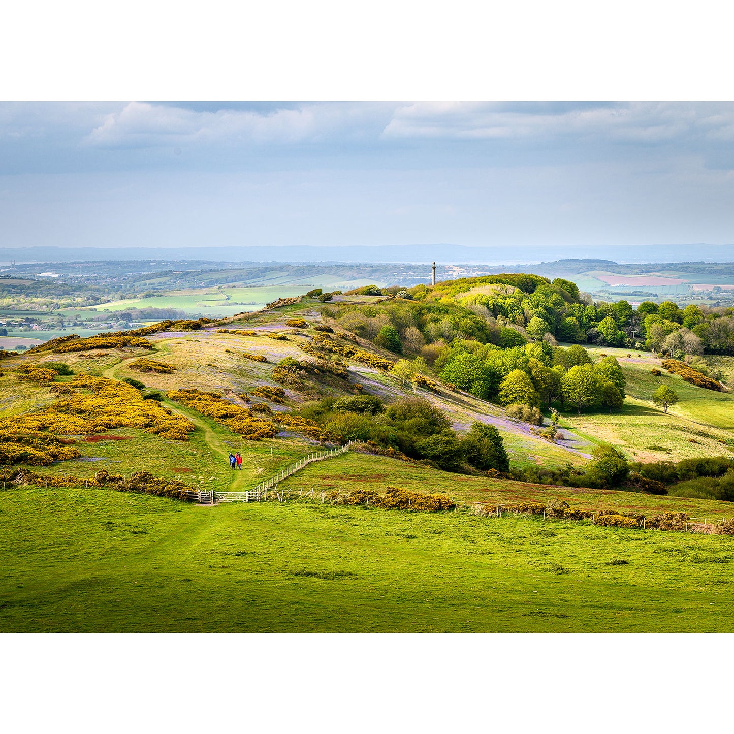 St. Catherine's Down - Available Light Photography
