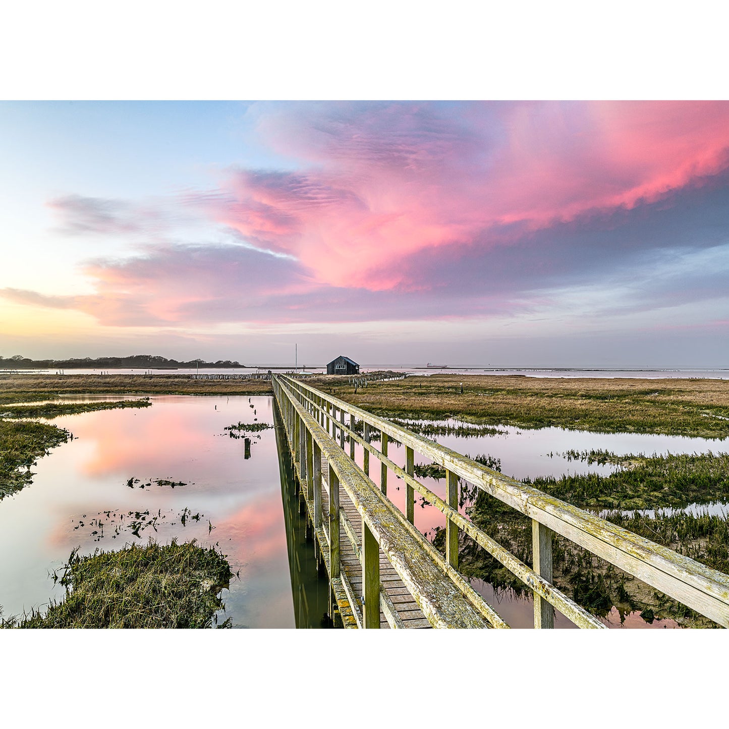 Newtown Creek - Available Light Photography