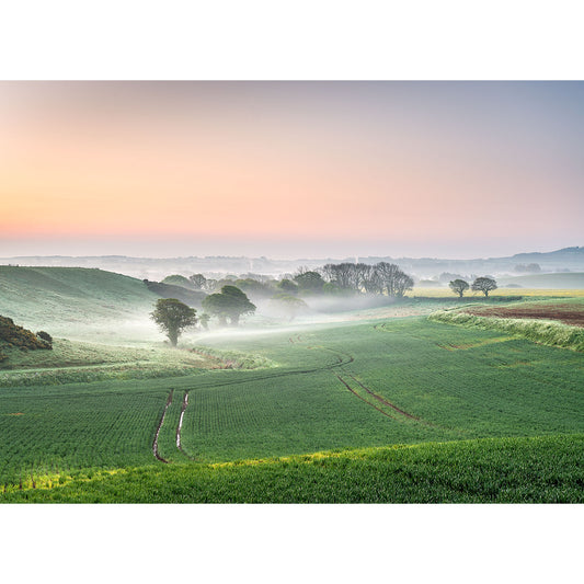 Sunrise over a misty, rolling countryside on the Isle of Wight, with green fields and trees captured by Arreton from Available Light Photography.