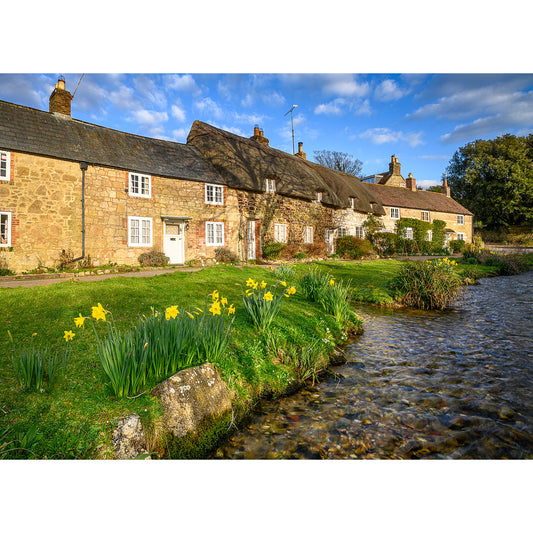 A tranquil row of Winkle Street cottages by a stream with blooming daffodils in the foreground on the Isle of Gascoigne captured by Available Light Photography.