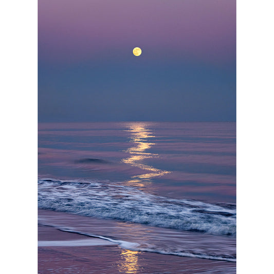 Full Moonrise over The Bay at twilight with its reflection glittering on the water's surface near the Isle of Gascoigne, captured by Available Light Photography.