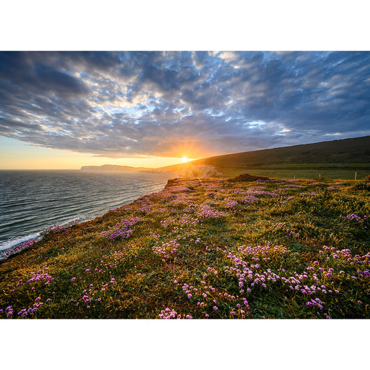 Sentence with replaced product:
Sunset over a flower-speckled Pink Thrift, Compton coastal landscape.