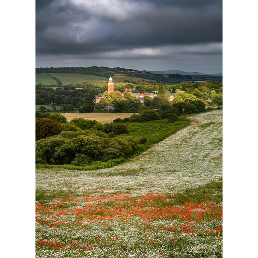 A rural landscape with a field of red flowers in the foreground, a village with a prominent tower in the midground, under a cloudy sky over the Isle of Wight featuring "Poppies at Gatcombe" by Available Light Photography.