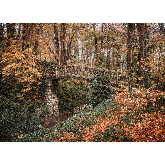 A rustic wooden bridge, the Shorwell Shute designed by Available Light Photography, spans a small gap amidst autumnal foliage in a serene forest setting.