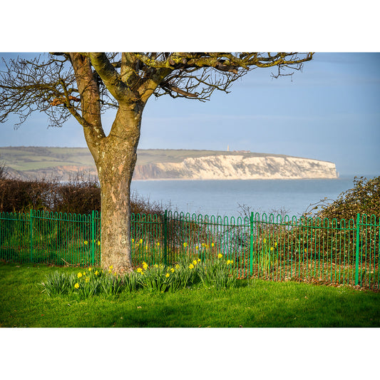 Springtime in Lake by Available Light Photography overlooking a green fence with a view of a white cliff by the sea in the background on the Isle of Wight.