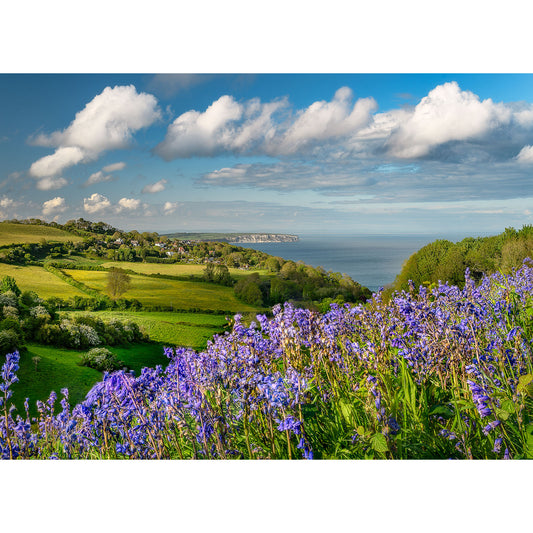 A scenic coastal landscape on the Isle with Bluebells at Luccombe flowers in the foreground and a view of the sea in the distance by Available Light Photography.