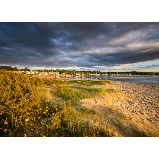 A scenic view of Bembridge Harbour, a coastal village at sunset with boats anchored in the harbor and wildflowers in the foreground, courtesy of Steve Gascoigne from Available Light Photography.
