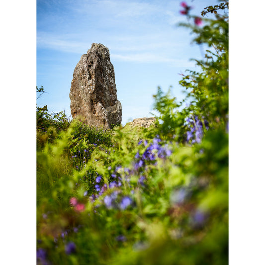 Large standing stone amidst greenery and wildflowers on the Isle under a blue sky, captured beautifully by Available Light Photography's The Longstone.