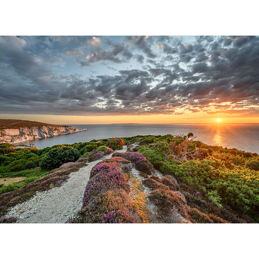 Sunset over a coastal path on the Isle of Wight with blooming heather and chalk cliffs captured in Headon Warren by Available Light Photography.