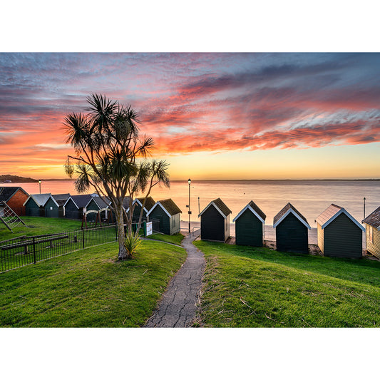 Sunset over seaside huts with a path leading towards the water and a tree in the foreground, captured beautifully by Steve for Gurnard by Available Light Photography.