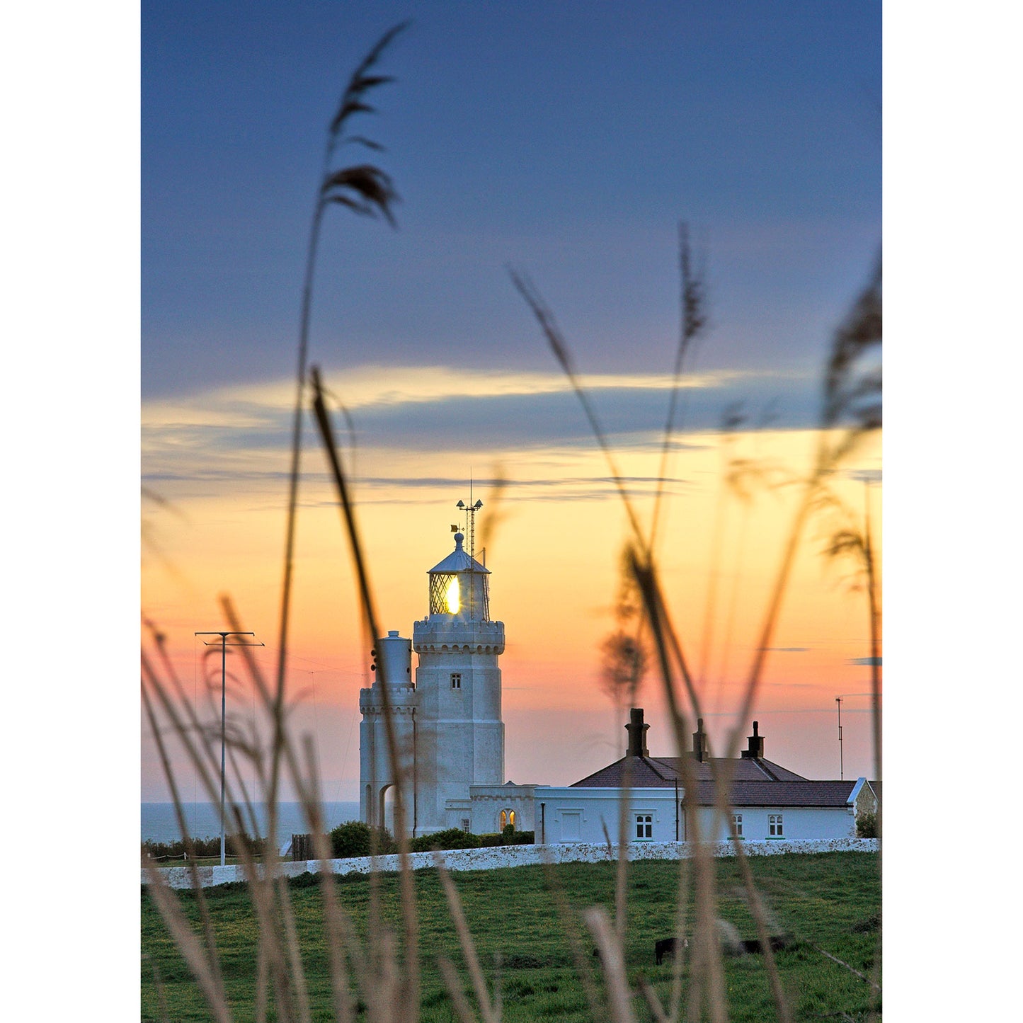 Image 0472 by Available Light Photography features St. Catherine's Lighthouse and its adjacent building at sunset, framed by tall grass in the foreground beneath a partly cloudy sky.