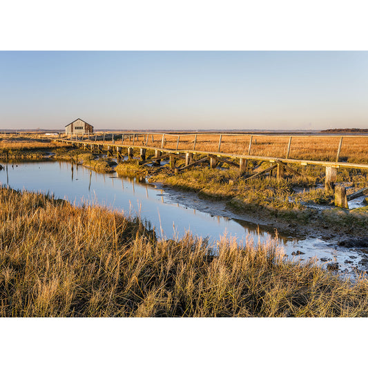A wooden footbridge crosses a marshy stream toward a shed in a grassy field beneath a clear sky in "Newtown Creek" by Available Light Photography.