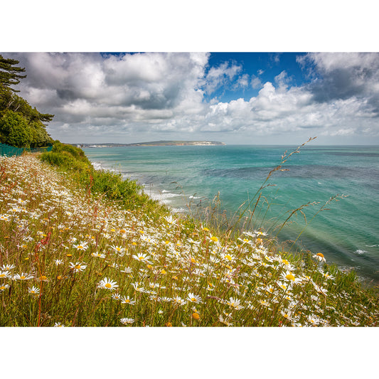 Sandown Bay