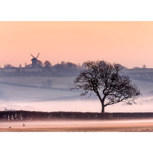 Bembridge Windmill by Available Light Photography captures the historic windmill at sunrise, overlooking misty fields and a lone tree on Brading Marshes, Isle of Wight.
