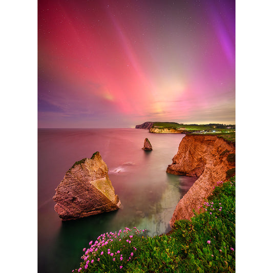 Coastal landscape at twilight with two rock formations in the sea, The Northern Lights in the sky, and a foreground of pink wildflowers by Available Light Photography.