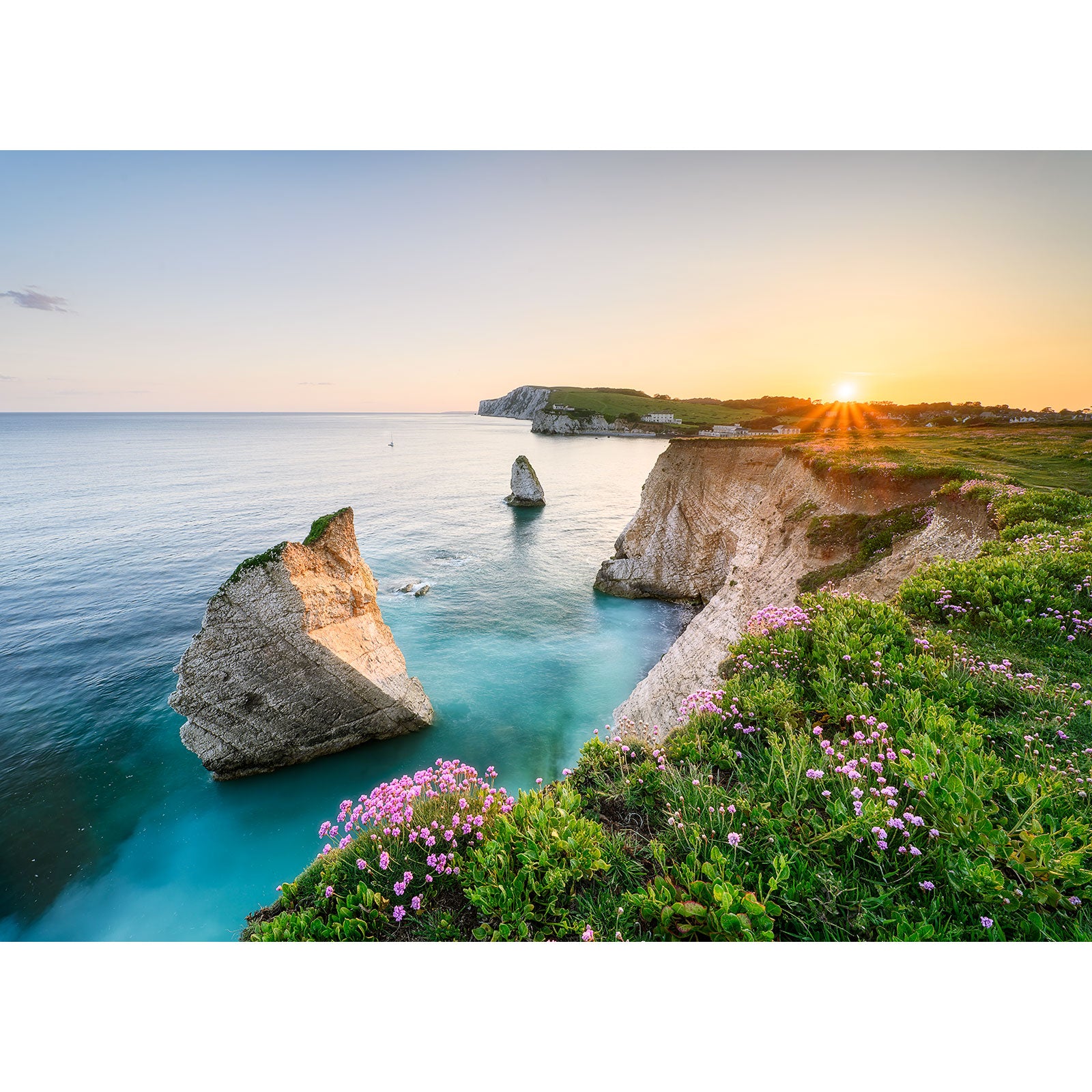 Sunset over a coastal landscape on the Isle of Wight with chalk cliffs and sea stacks, Pink Thrift in the foreground. (Freshwater Bay, Available Light Photography)
