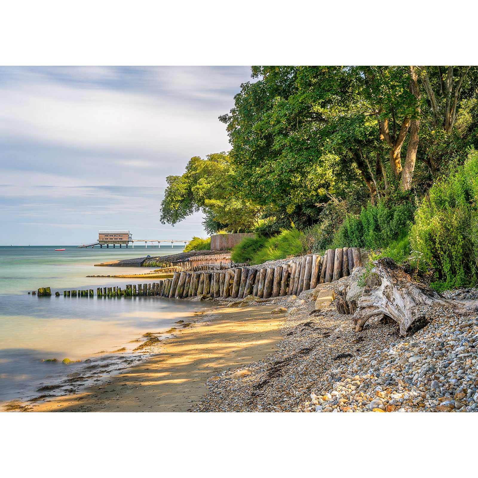 Serene coastal landscape on Bembridge Beach with wooden groynes and an overgrown shoreline leading to a calm sea by Available Light Photography.