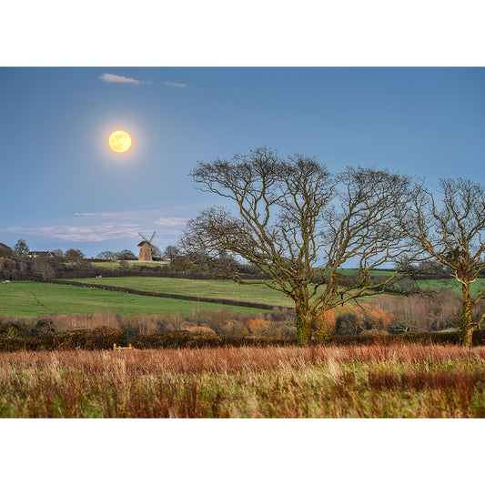 Moonrise over Bembridge Windmill by Available Light Photography.