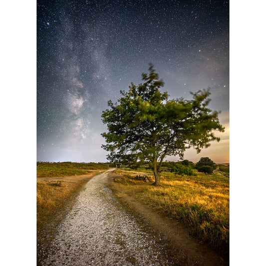 A dirt path curves past a lone tree on a grassy field beneath the Milky Way in "Path to the Stars, Ventnor Down" by Available Light Photography.