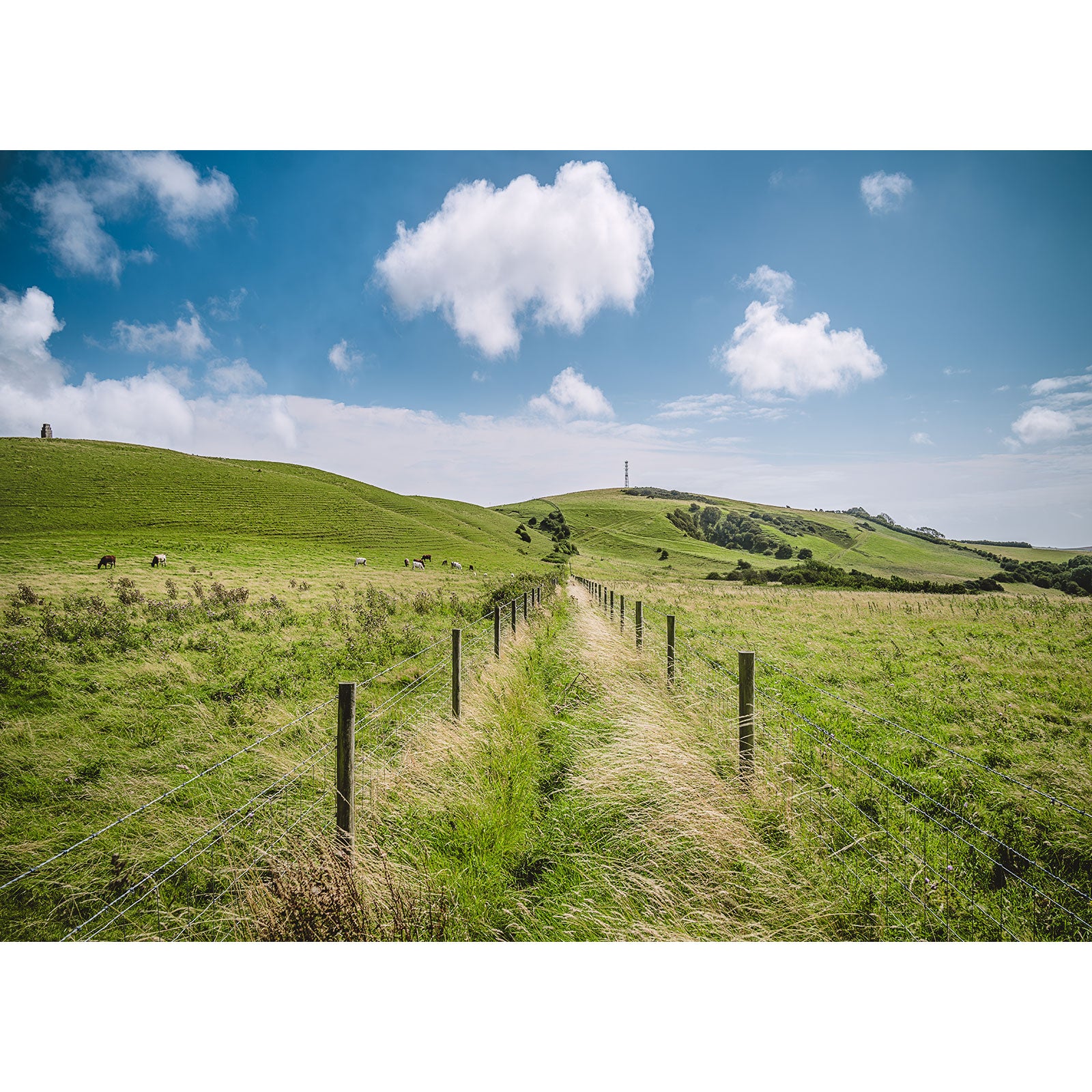 A grassy path runs between wire fences through rolling green hills under a blue sky with scattered clouds in Stenbury Down, photographed by Available Light Photography; sorry, there is not enough information to identify SEO keywords.