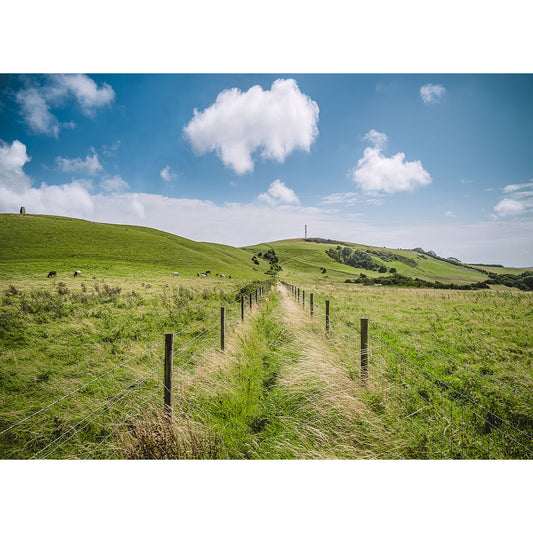 A grassy path runs between wire fences through rolling green hills under a blue sky with scattered clouds in Stenbury Down, photographed by Available Light Photography; sorry, there is not enough information to identify SEO keywords.