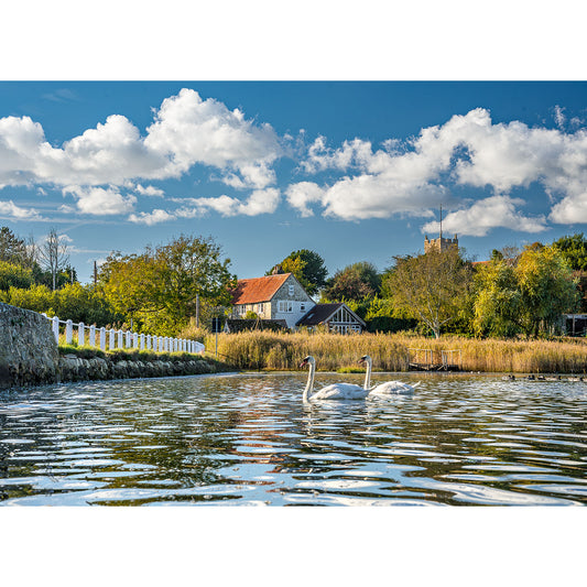 Two swans glide across a calm lake before a red-roofed house, trees, and a church tower beneath a blue sky. "The Causeway, Afton" by Available Light Photography captures this tranquil scene.