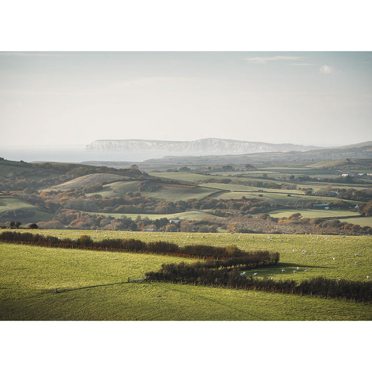 A wide view over West Wight by Available Light Photography, capturing patchwork green fields, rolling hills, distant cliffs under a pale sky, and scattered sheep grazing in the foreground.