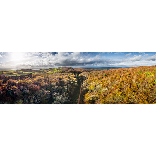 A serene view of Brighstone Forest by Available Light Photography, featuring a winding road bordered by lush green trees.
