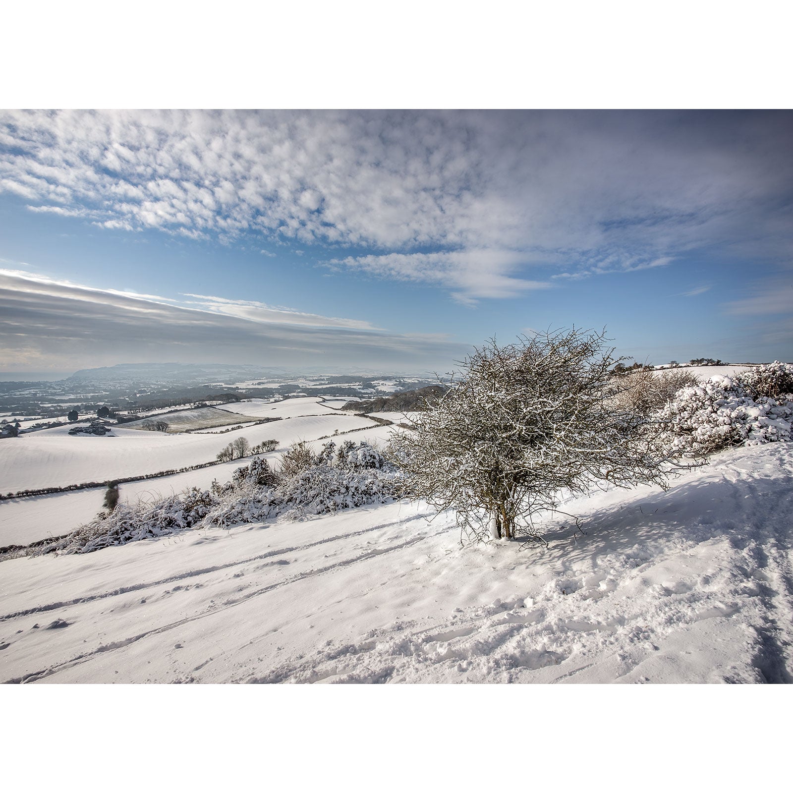 Snow over Brading Down" by Available Light Photography captures a solitary tree on a snowy hillside, overlooking fields and distant hills beneath a partly cloudy winter sky.