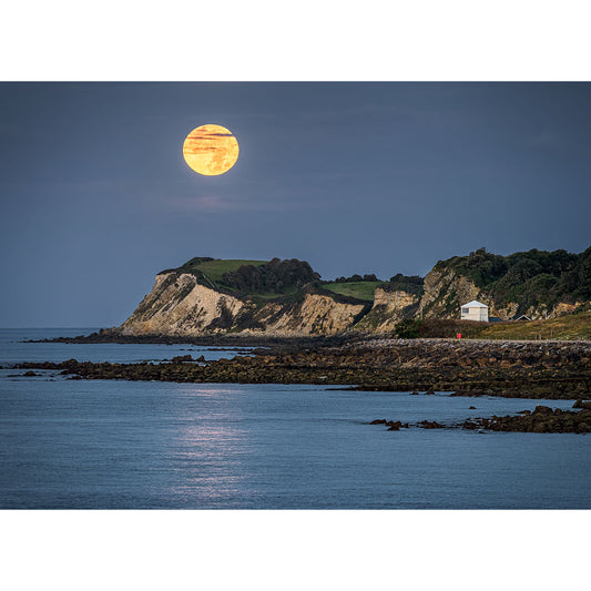 Moonset over Woody Point" by Available Light Photography features a full moon above rugged cliffs and a white house by the sea, with calm water in front.