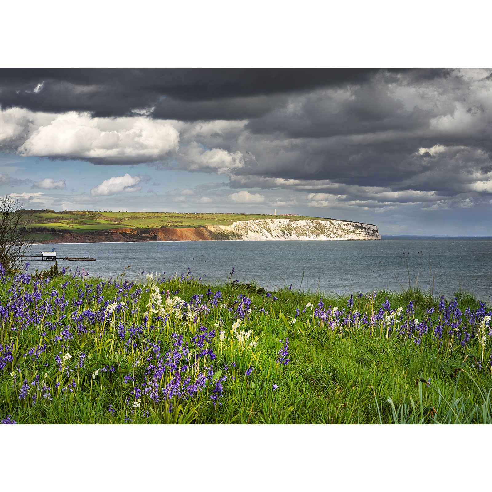 A coastal scene titled "Bluebells, Culver Cliff" by Available Light Photography features wildflowers in the foreground, calm sea, and white cliffs beneath a cloudy sky.