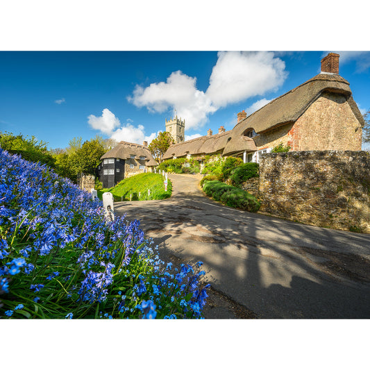 Godshill by Available Light Photography captures thatched cottages along a winding village road, blooming bluebells, and a stone church tower under a blue sky with scattered clouds.