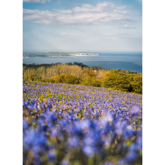Bluebells, Ventnor Down by Available Light Photography features vibrant purple bluebells framed by trees and coastline, with the sea shimmering beneath a partly cloudy sky in the background.