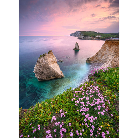 Pink Thrift, Freshwater Bay by Available Light Photography features cliffs adorned with wildflowers overlooking turquoise waters and dramatic rock formations beneath a pink and purple sunset sky.