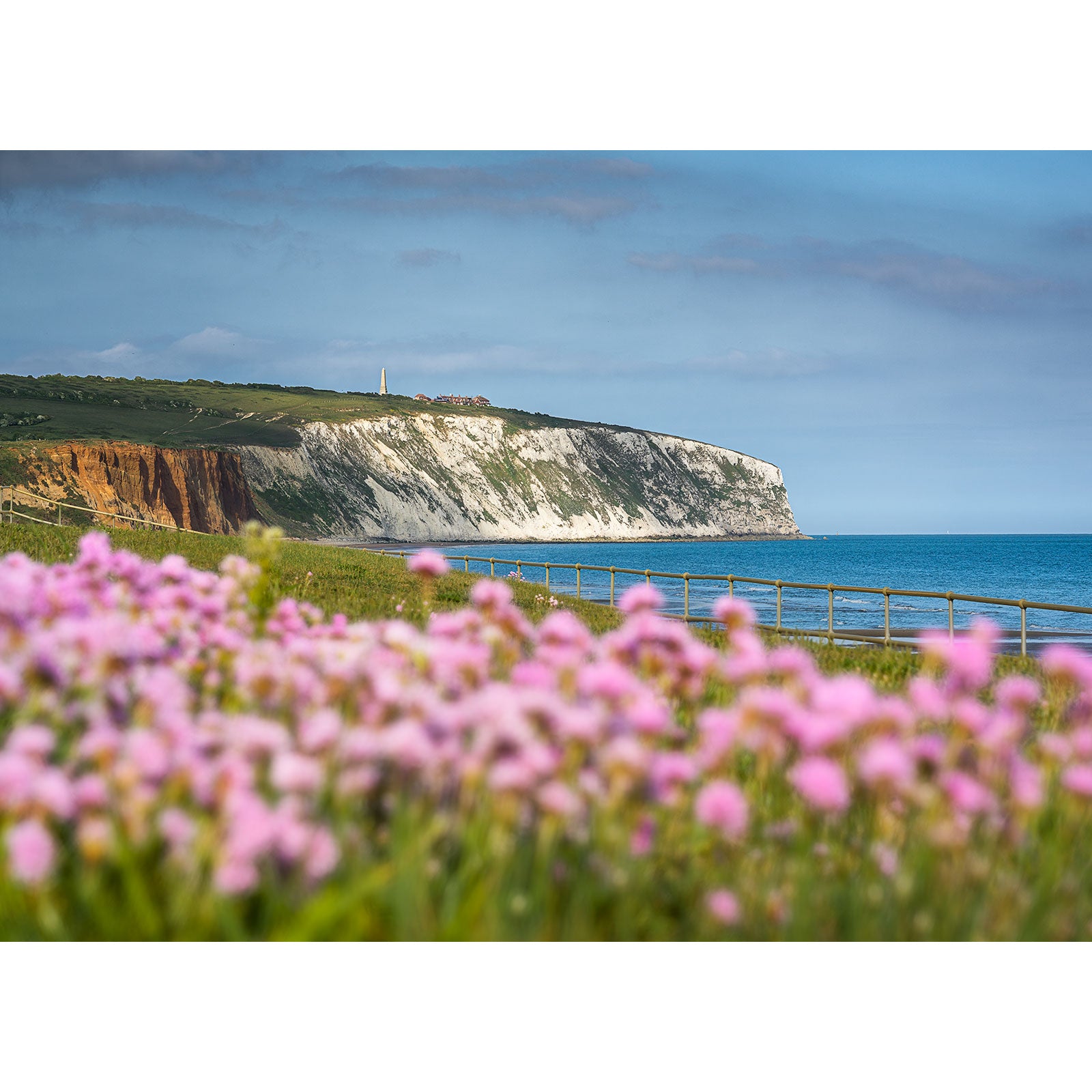 Pink Thrift flowers, a wooden fence, and Culver Cliff’s soaring white chalk face above the sea under blue skies—captured by Available Light Photography—make Pink Thrift, Culver Cliff an ideal choice for your space.