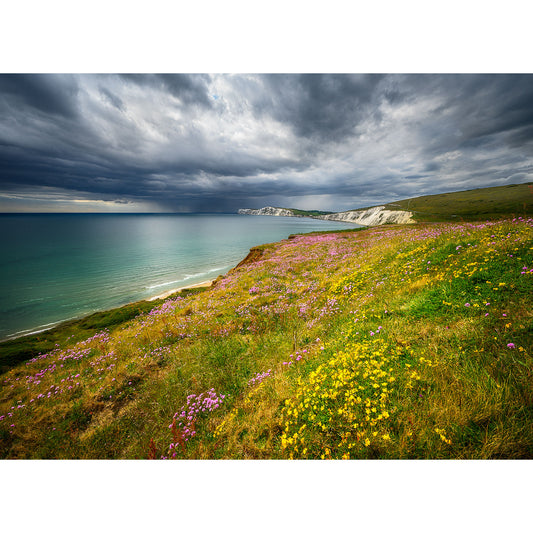 No keywords were provided to blend into the description for Springtime at Compton Bay by Available Light Photography. Please provide one or more keywords.