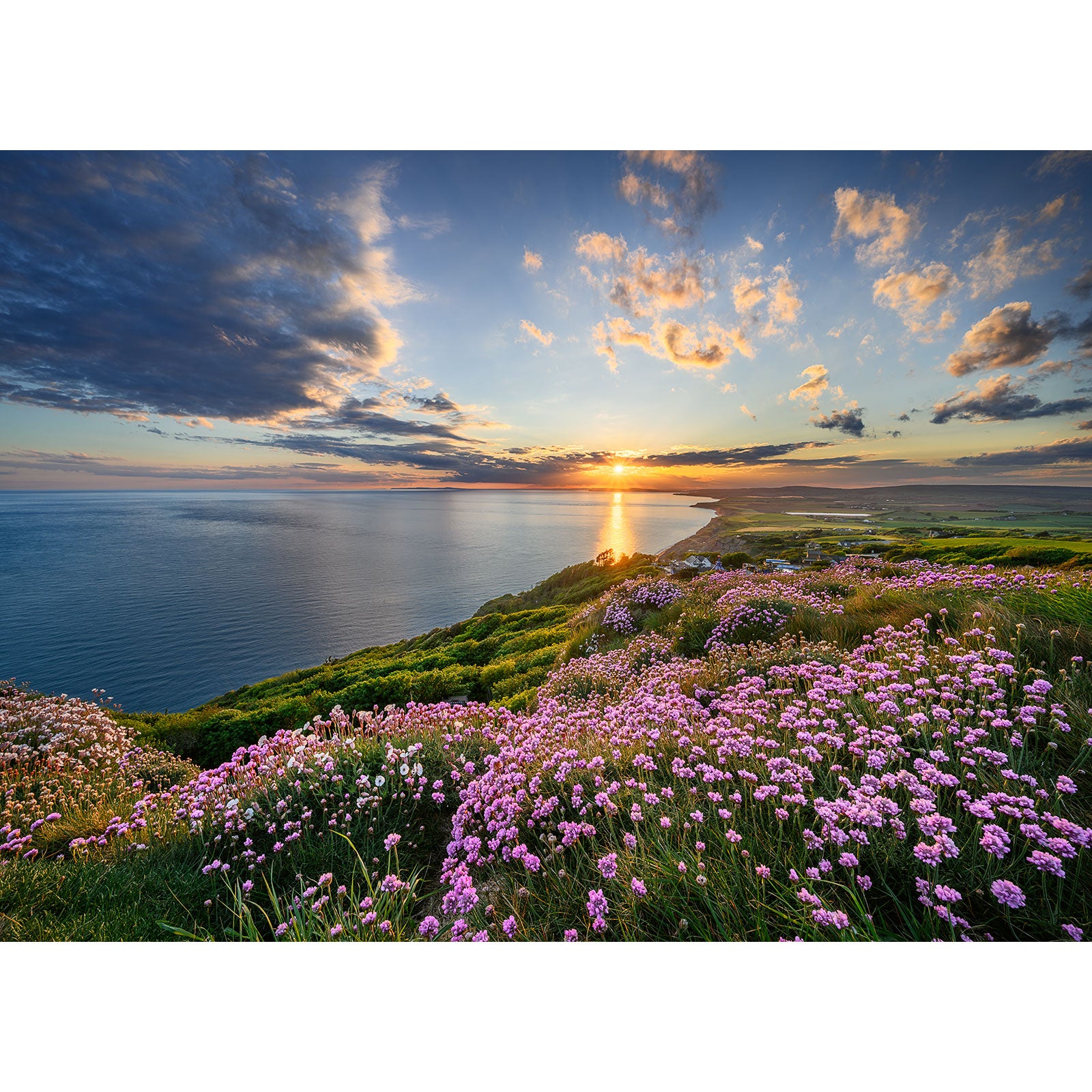 Pink Thrift, Blackgang Chine by Available Light Photography captures a sunset over coastal hills and a field of vibrant pink wildflowers beneath a partly cloudy sky.