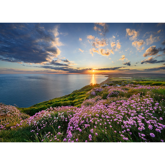 Pink Thrift, Blackgang Chine by Available Light Photography captures a sunset over coastal hills and a field of vibrant pink wildflowers beneath a partly cloudy sky.